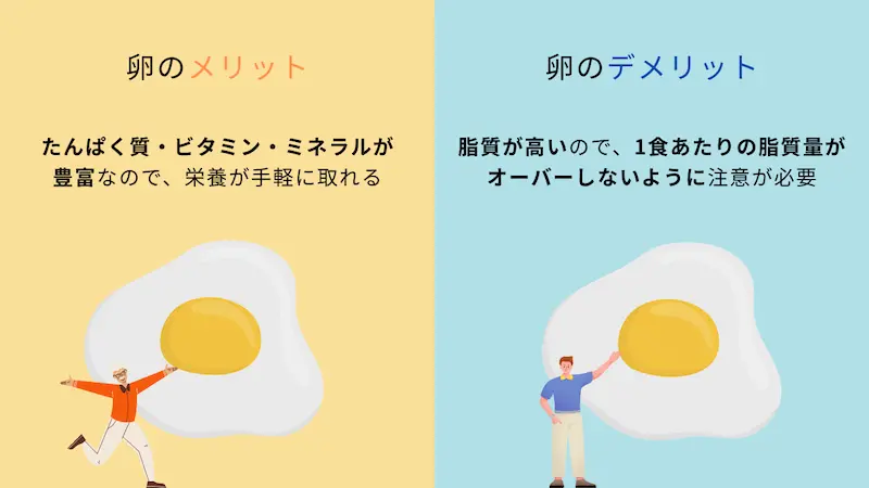 卵のメリット、デメリットを表した画像-shishitsu_egg_diet_tips