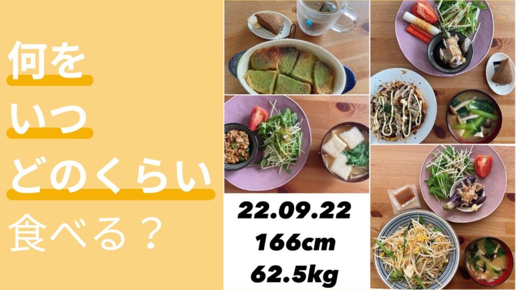1日の食事量をざっくり知ろうの章のアイキャッチ画像