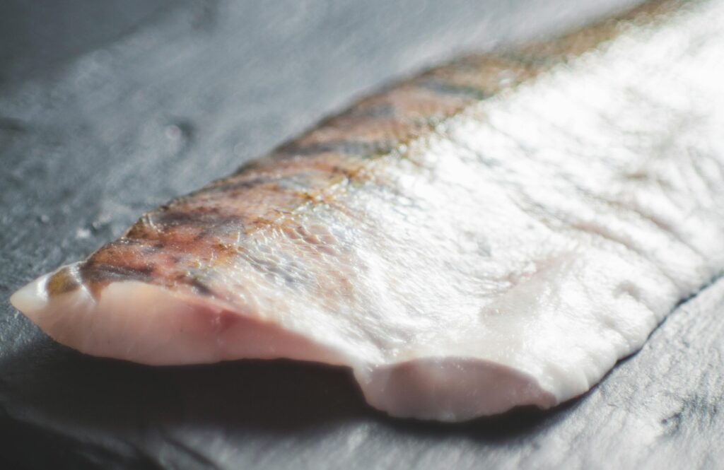 魚の画像